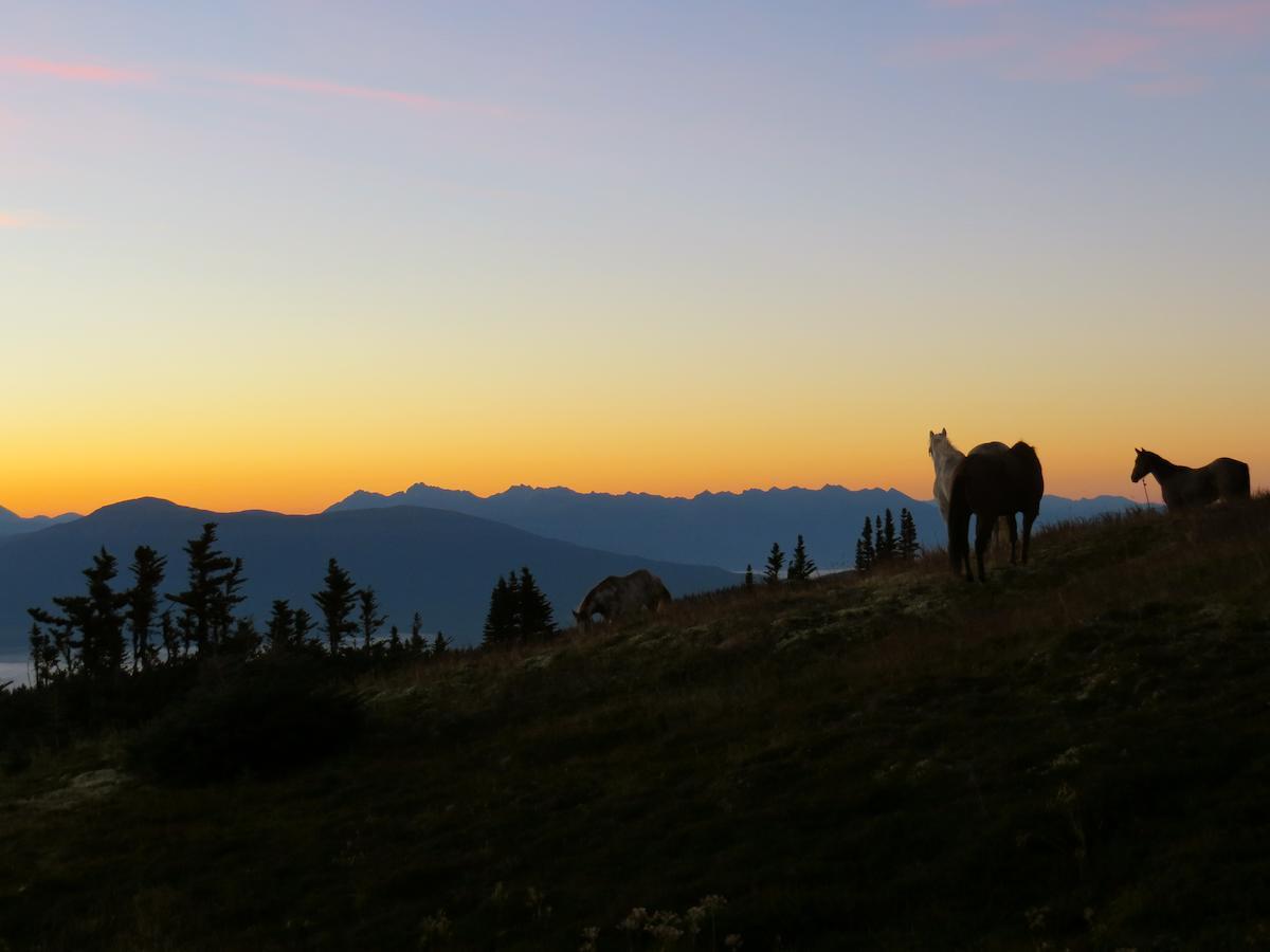 Bear Claw Lodge Kispiox ภายนอก รูปภาพ