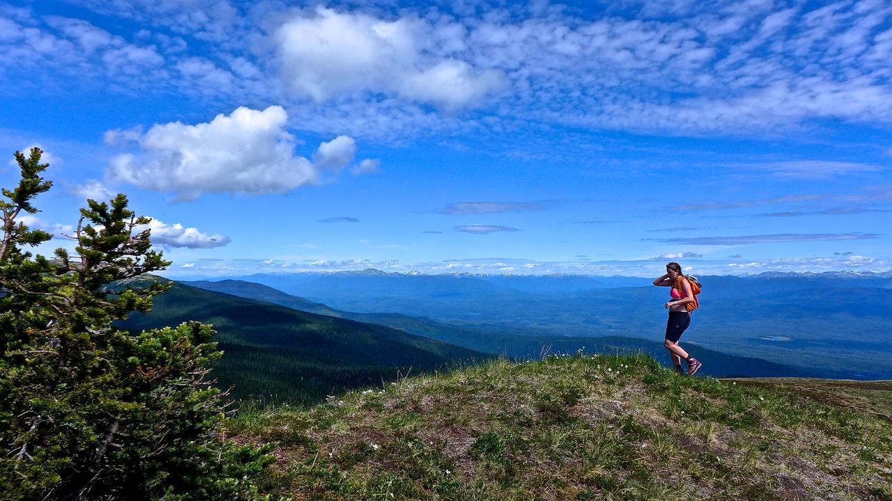 Bear Claw Lodge Kispiox ภายนอก รูปภาพ