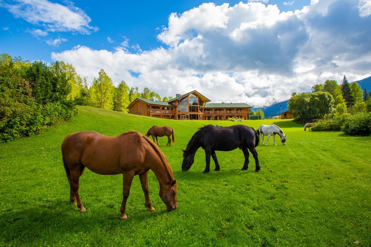 Bear Claw Lodge Kispiox ภายนอก รูปภาพ