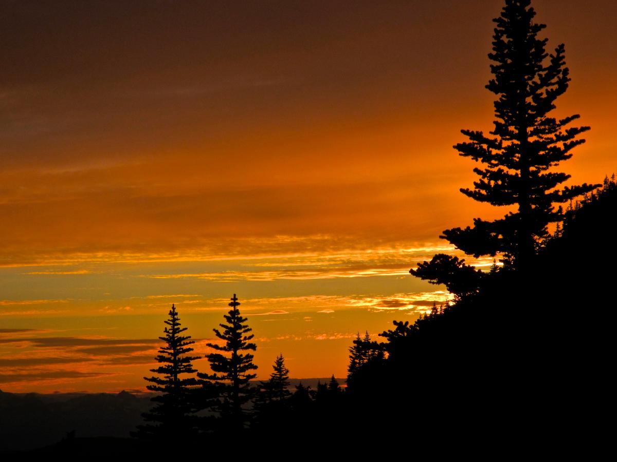 Bear Claw Lodge Kispiox ภายนอก รูปภาพ