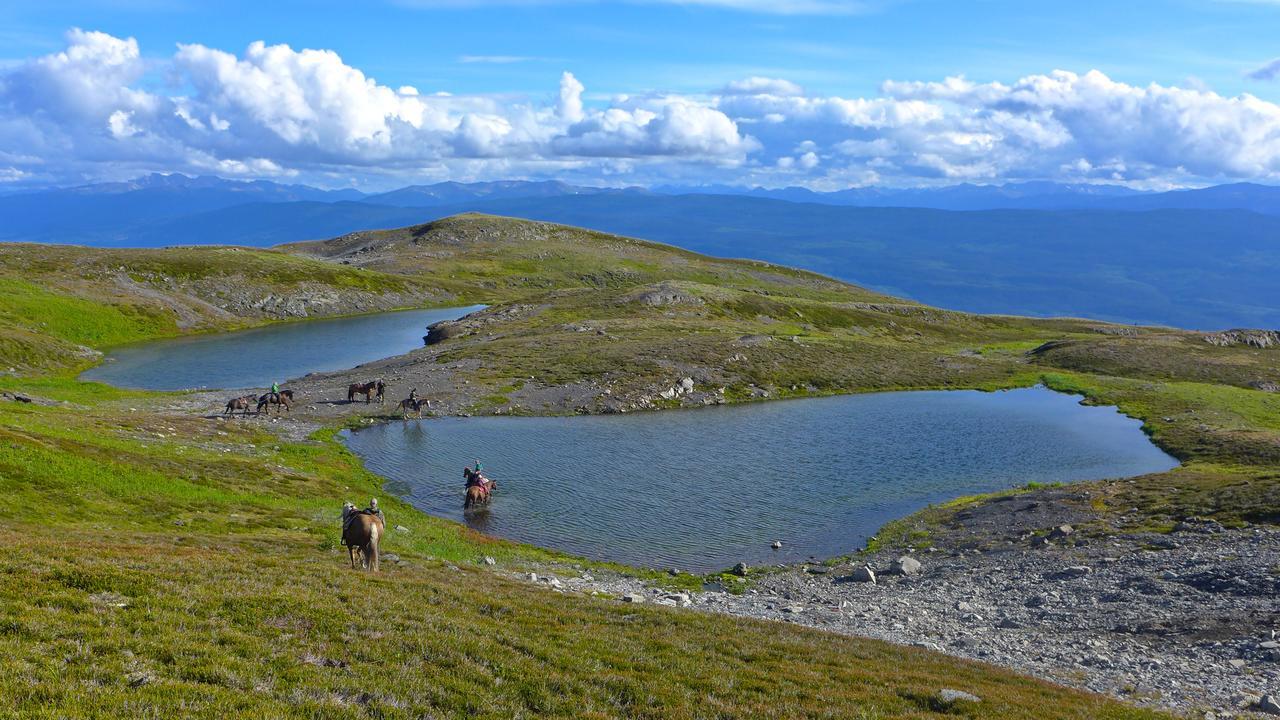 Bear Claw Lodge Kispiox ภายนอก รูปภาพ