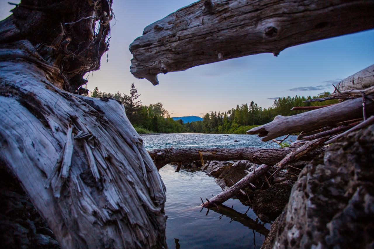 Bear Claw Lodge Kispiox ภายนอก รูปภาพ