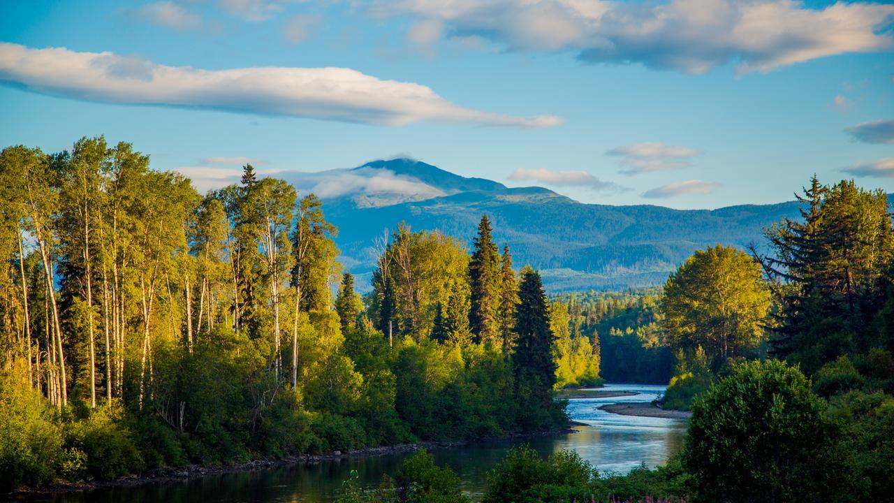 Bear Claw Lodge Kispiox ภายนอก รูปภาพ