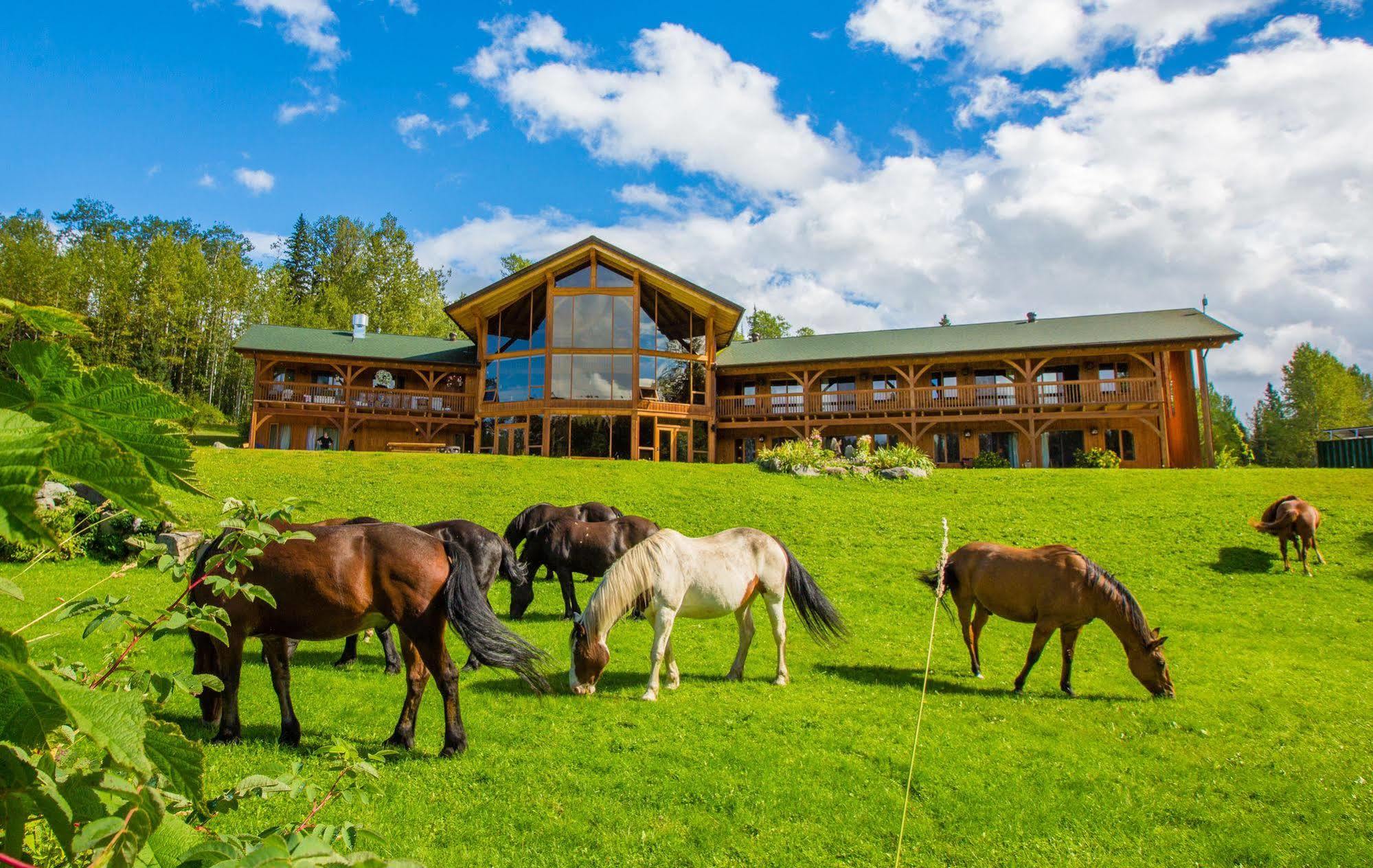 Bear Claw Lodge Kispiox ภายนอก รูปภาพ